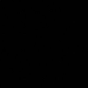 Meet your Posher, Abdullah